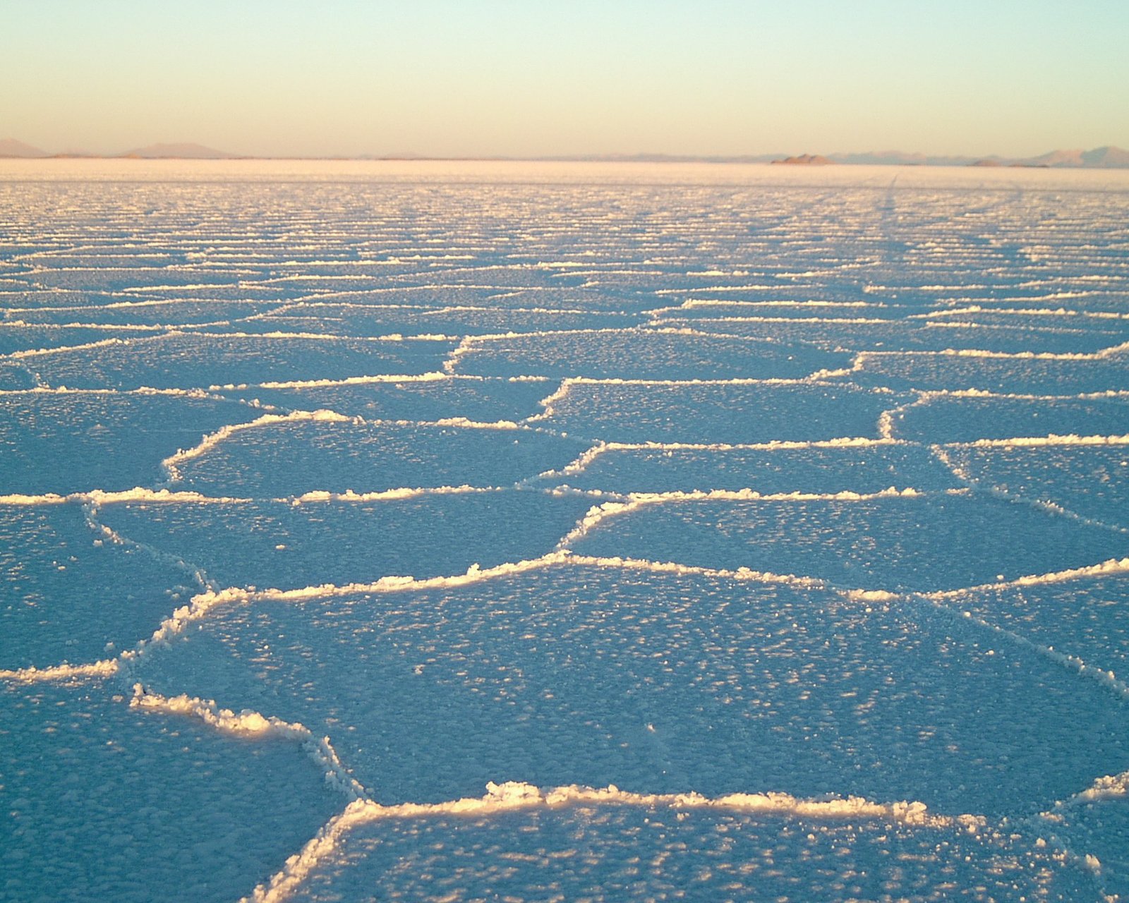 destination_file6ac7bdea62ecc-Imagen-072.jpg